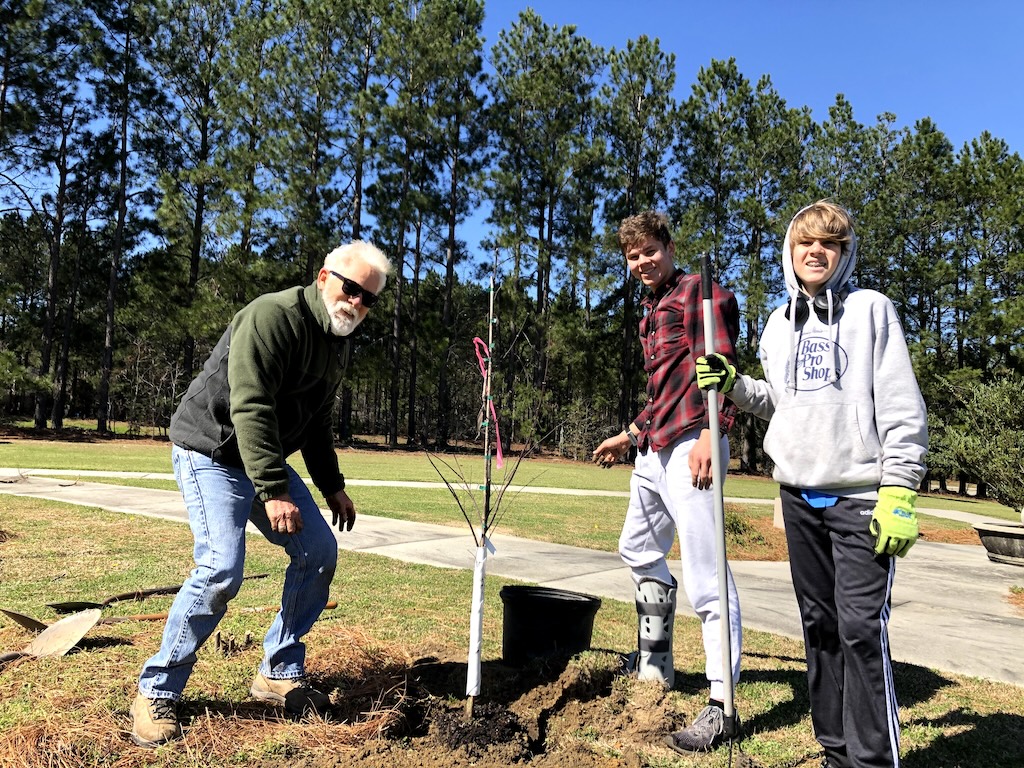 planting a tree